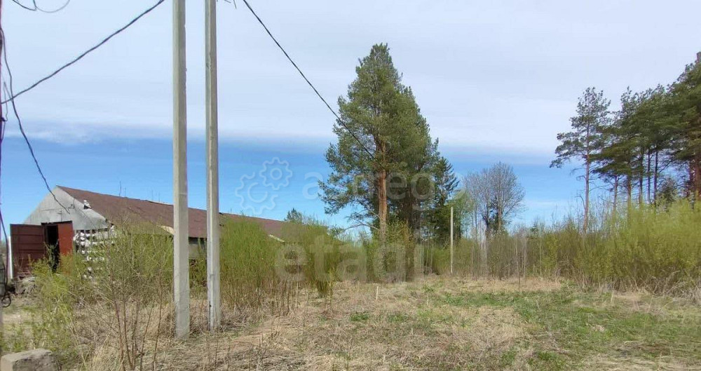 Коммерческий участок, 3.24 га Котлас - изображение 5