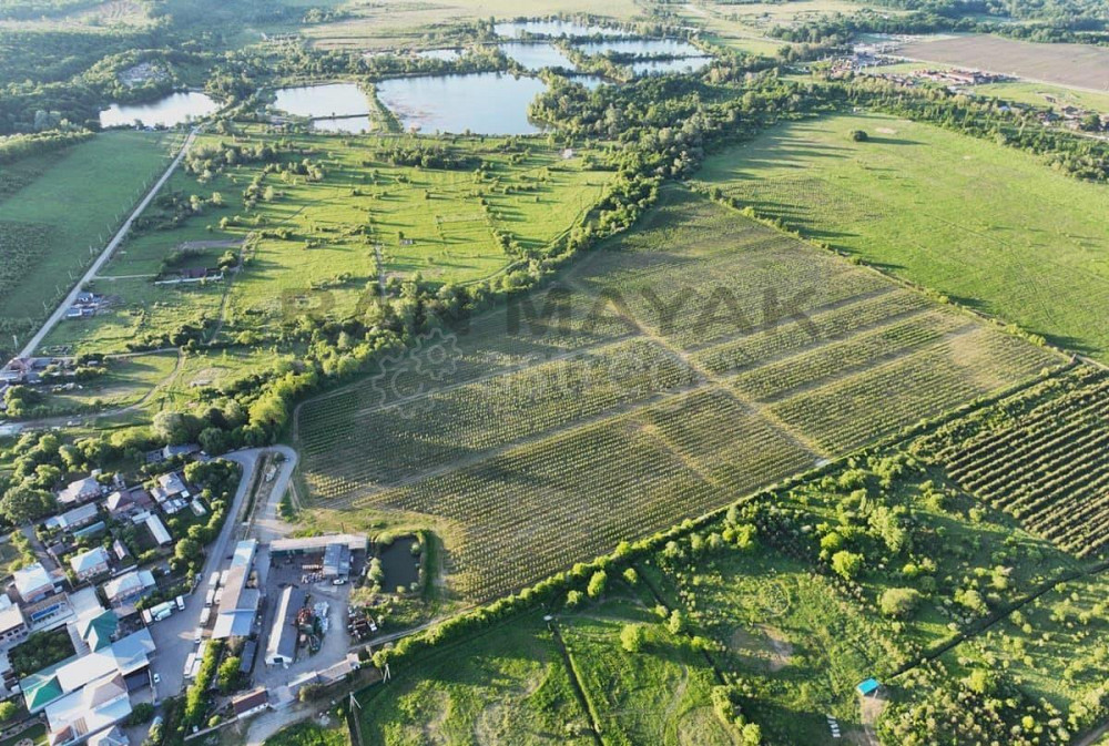 Торговое помещение, 180000 м Тульский - изображение 1