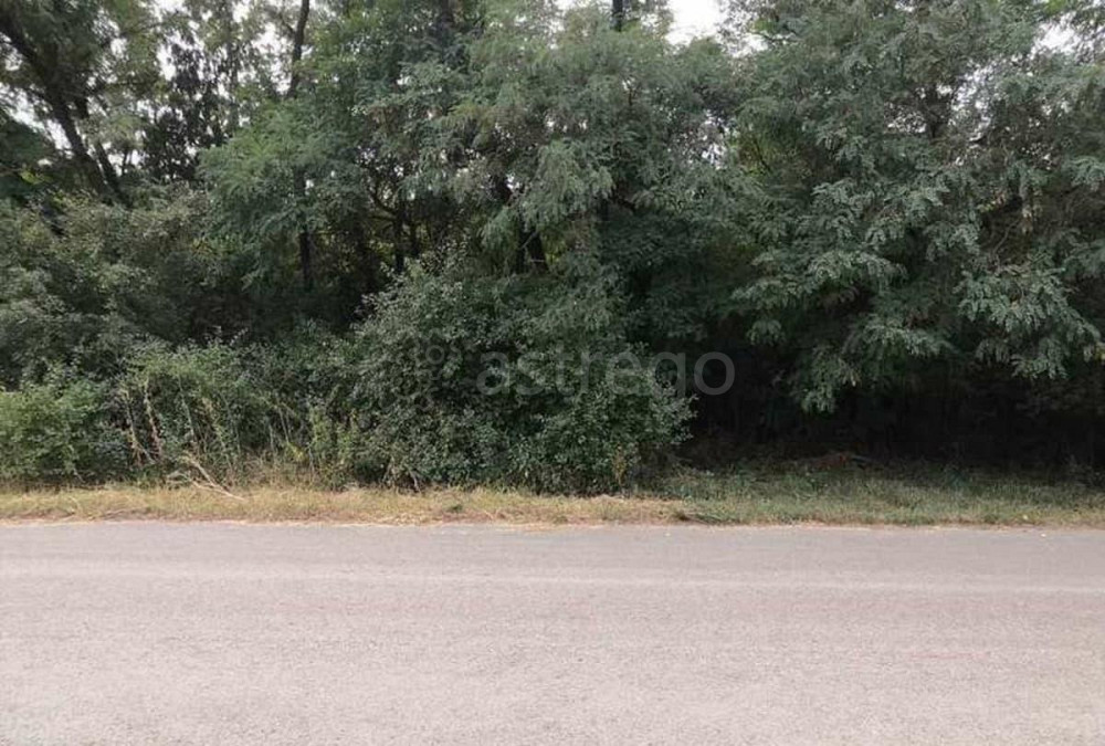 Коттедж, 123 м2, 15 соток, 2 эт. Разумное - изображение 3