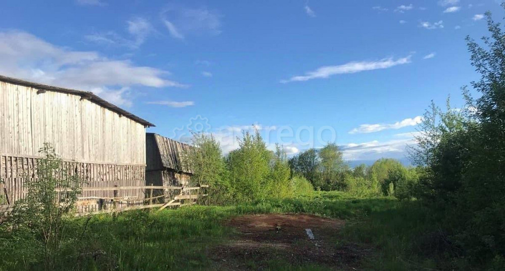 Земельный участок, 8 соток Онега - изображение 3