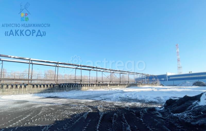 Земельный участок, 1.19 га Бийск - изображение 10