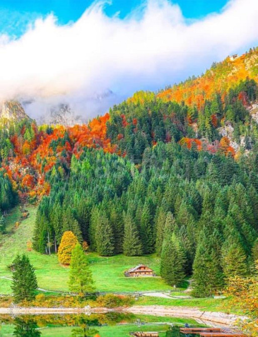 Коммерческий участок, 39 соток Барнаул - изображение 7