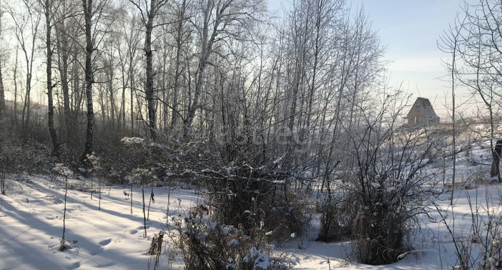 Земельный участок, 8 соток Красноярск - изображение 5