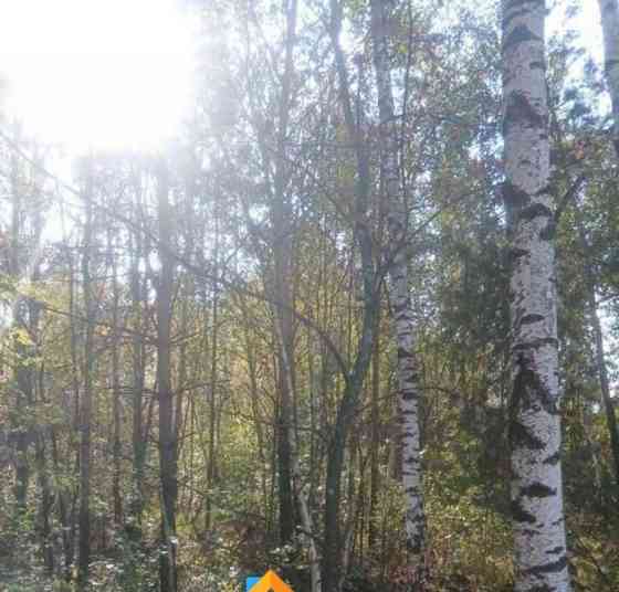 Земельный участок, 12.39 сотки Электрогорск