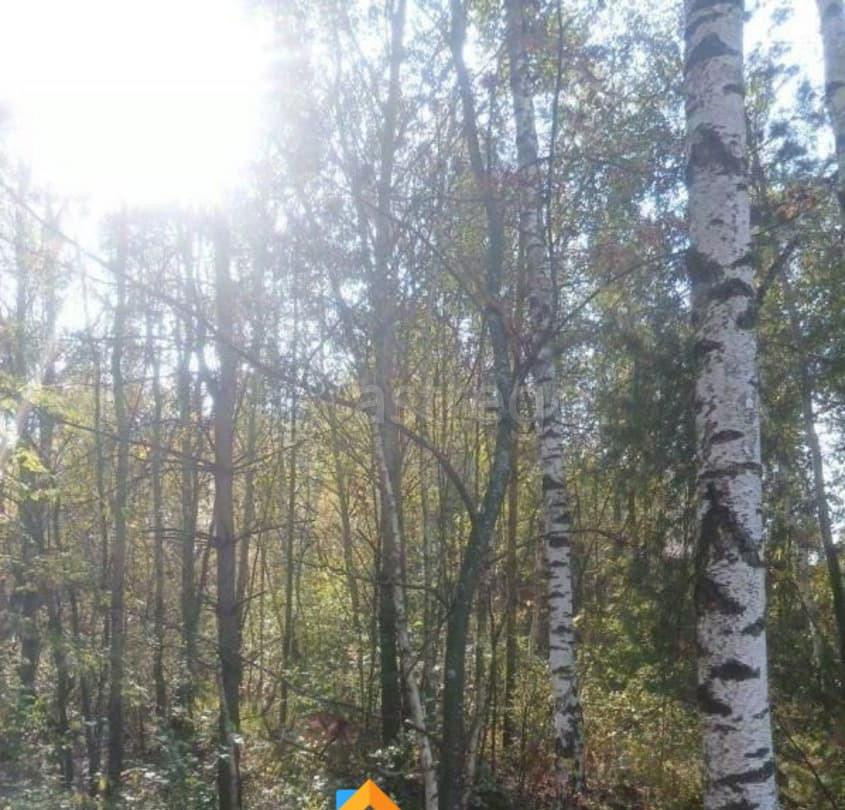 Земельный участок, 12.39 сотки Электрогорск - изображение 1