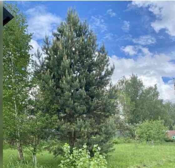 Земельный участок, 13 соток Звенигород