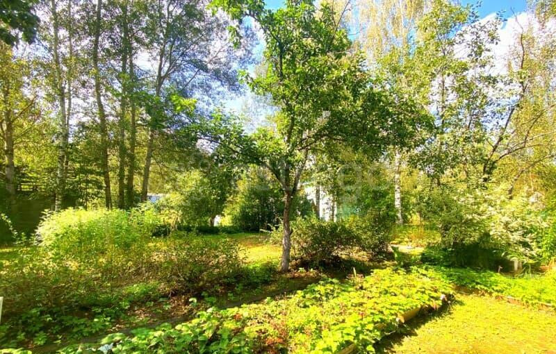 Дача, 28 м2 Егорьевск - изображение 10