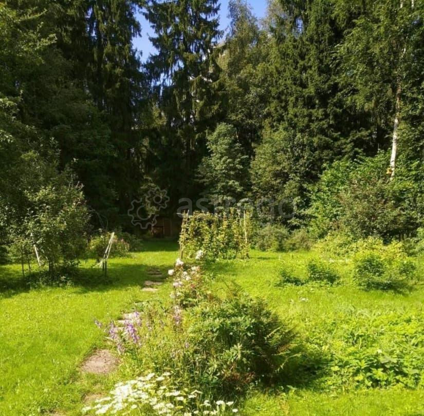 Земельный участок, 0.53 га Лобня - изображение 7