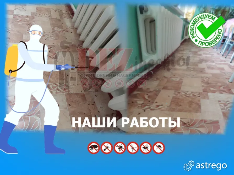 Уничтожение Тараканов, клопов и других Насекомых. Дезинсекция. Краснодар - изображение 4