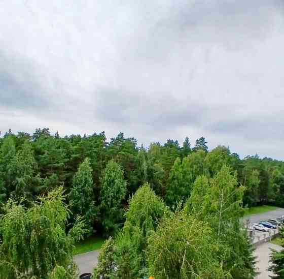 2-комн. квартира, 80 м2, 5/9 эт. Барнаул