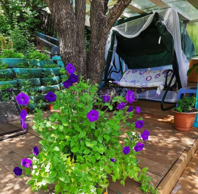 Дом, 45 м2, 11 соток, 1 эт. Свободный - изображение 6