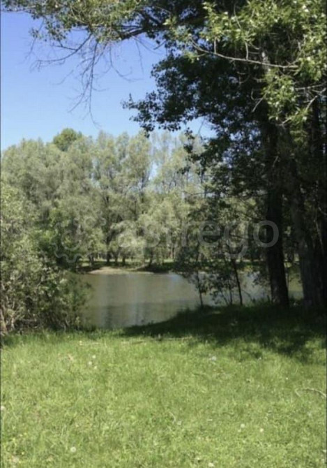 Земельный участок, 2 га Тальменка - изображение 4