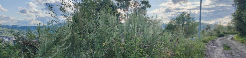 Земельный участок, 10 соток Горно-Алтайск - изображение 4