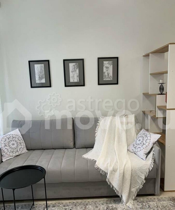 Студия, 24.8 м2, 5/9 эт. Москва - изображение 2