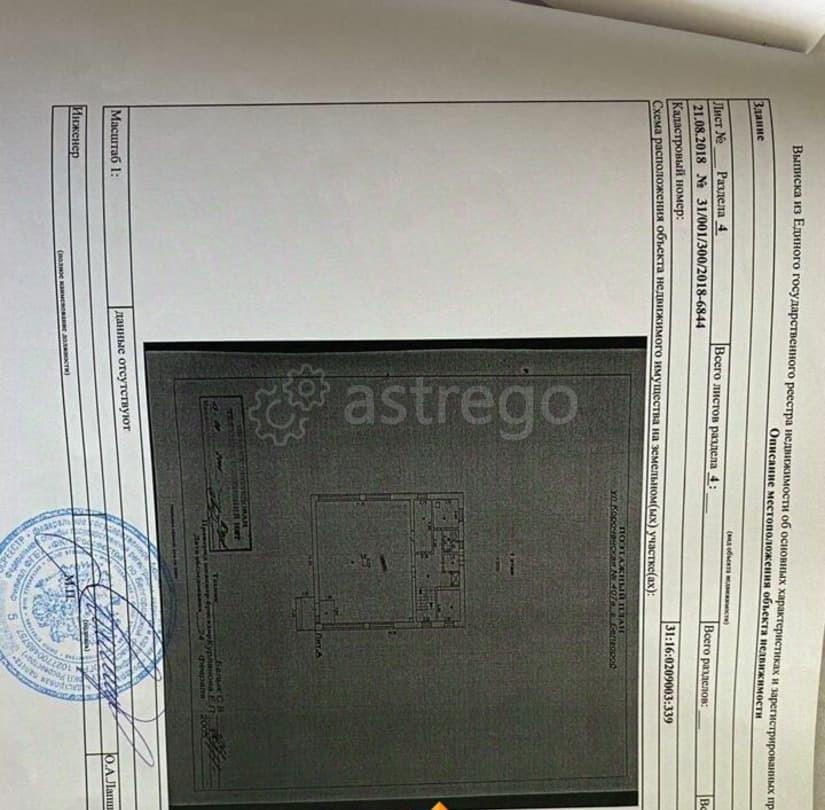 Торговое помещение, 600 м2 Белгород - изображение 2