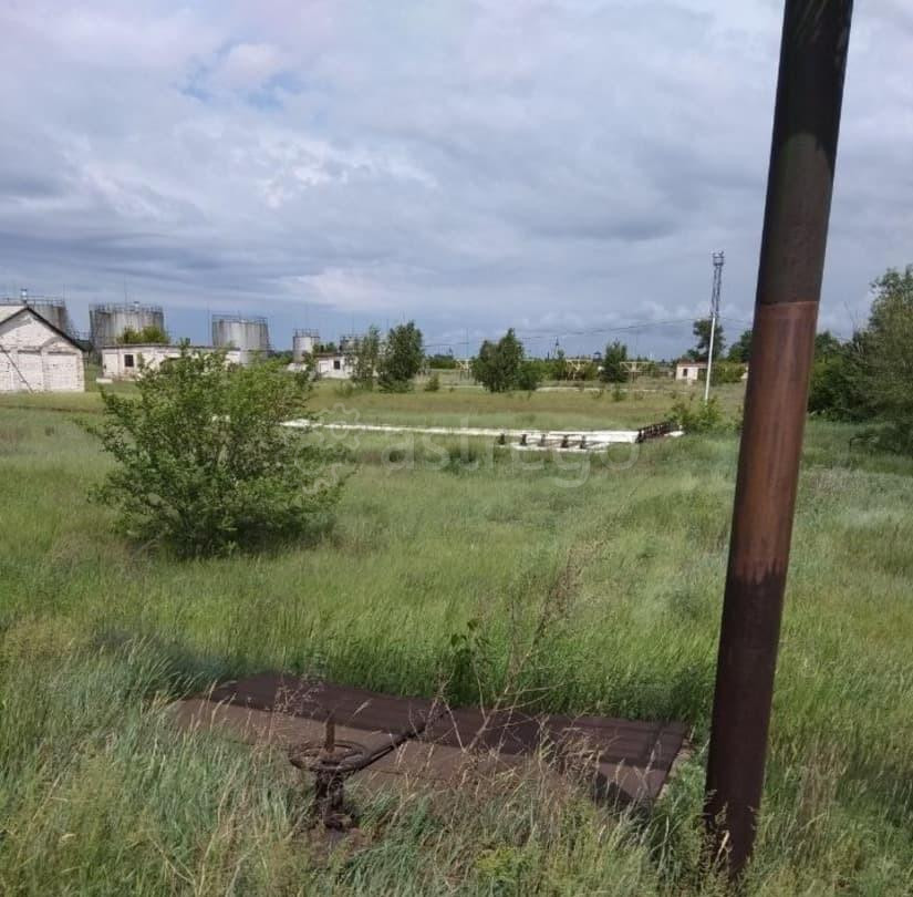 Свободного назначения, 551 м2 Кулунда - изображение 3