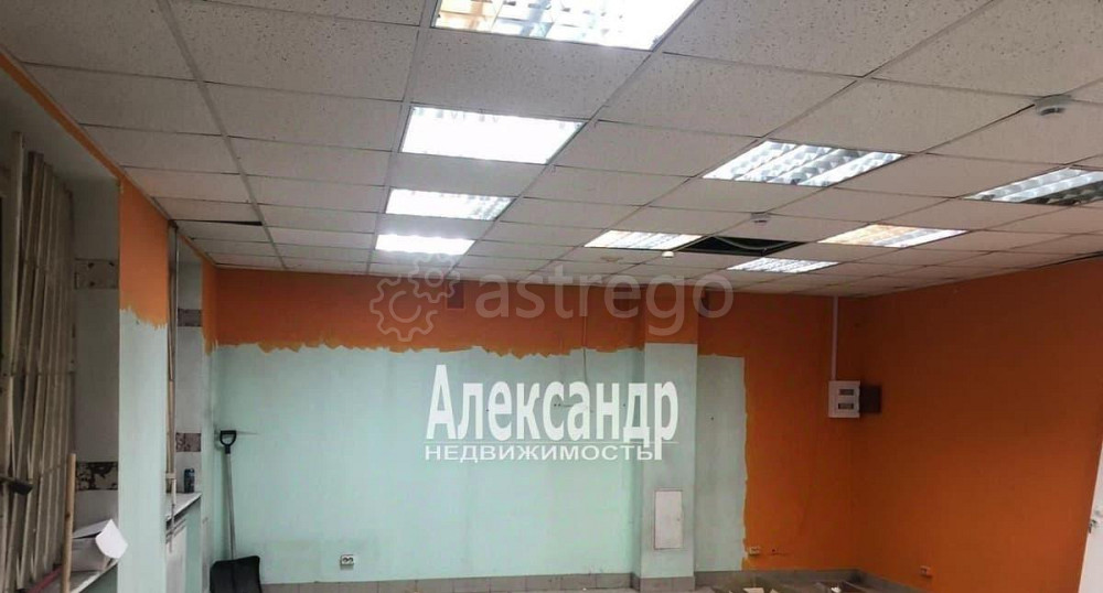 Торговое помещение, 45 м2 Санкт-Петербург - изображение 5