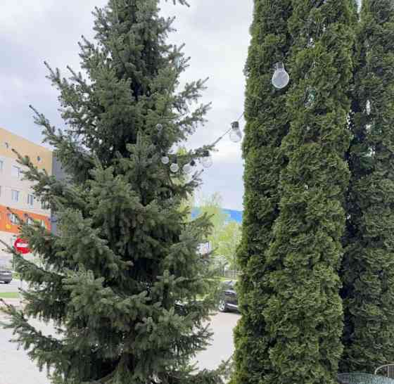 Офис, 30 м2 Белгород