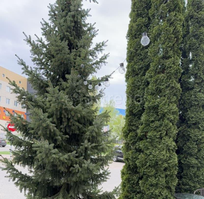 Офис, 30 м2 Белгород - изображение 1
