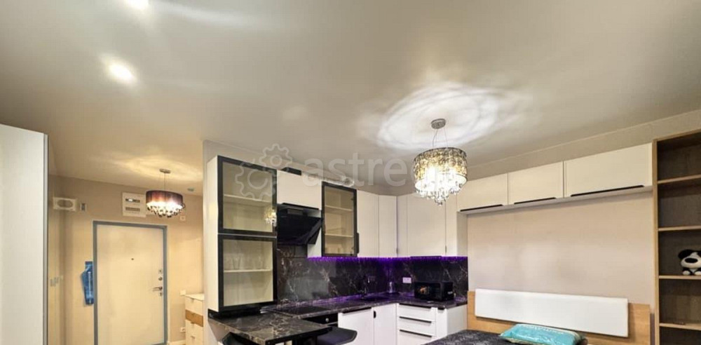 Студия, 27.6 м2, 8/17 эт. Химки - изображение 4