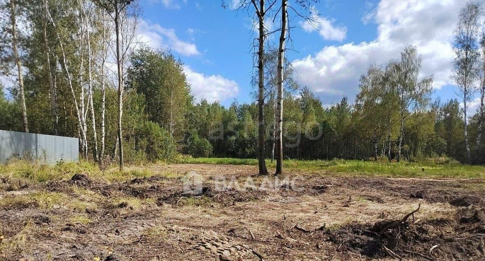 Земельный участок, 10 соток Орехово-Зуево - изображение 4