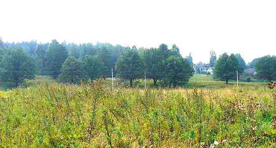 Земельный участок, 20 соток Шаховская