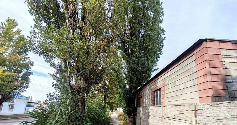 Производственное, 203 м2 Белгород - изображение 2