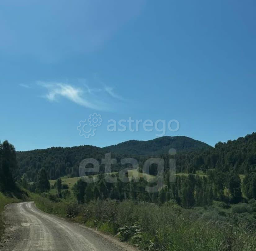 Земельный участок, 12.9 га Алтайское - изображение 2