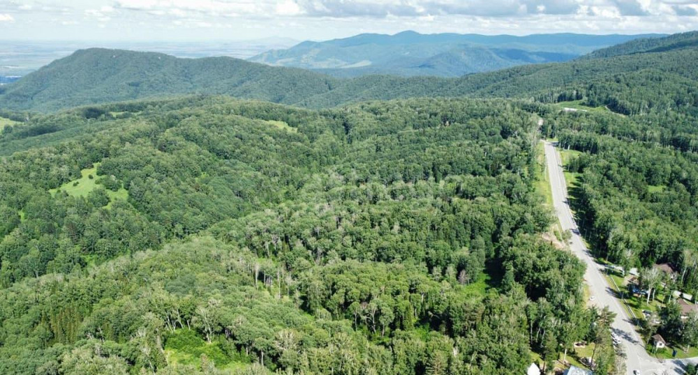 Коммерческий участок, 2.88 га Белокуриха - изображение 5