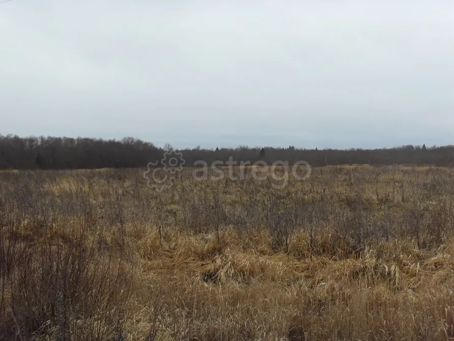 Продам Участок, Садовый, 1280 сот. Калязин - изображение 2