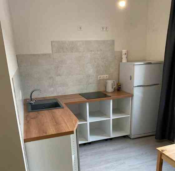 1-комн. квартира, 29 м2, 7/10 эт. Москва