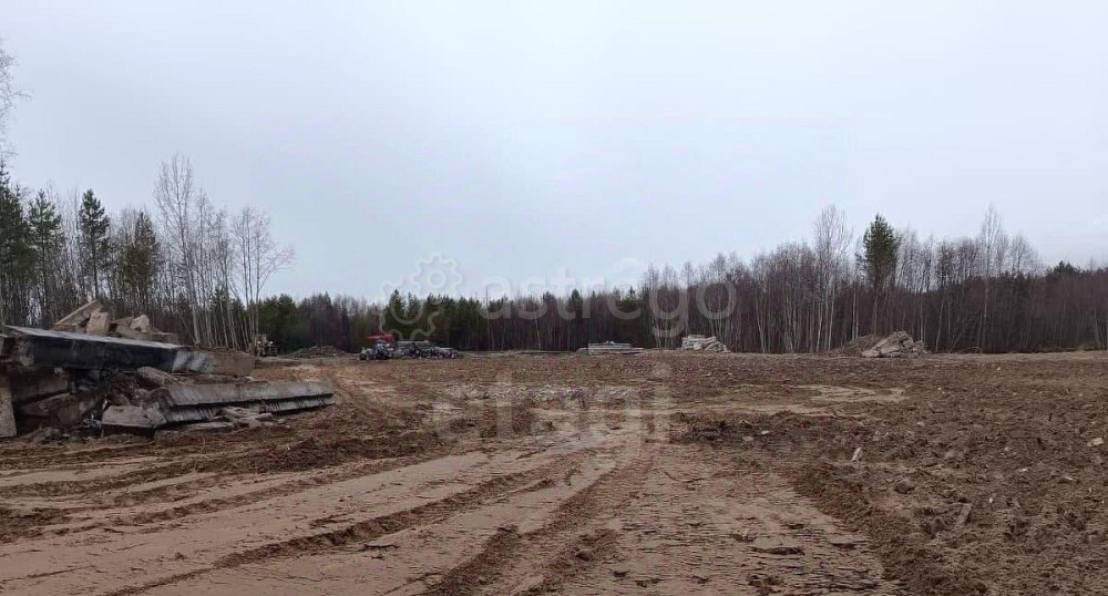 Земельный участок, 3.05 га Новодвинск - изображение 3