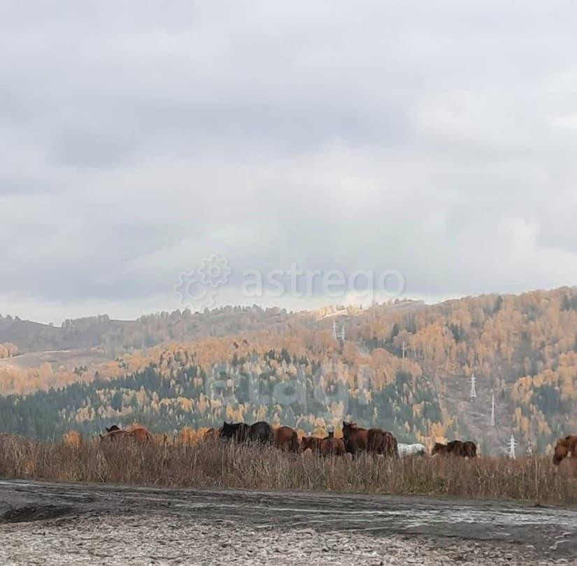 Земельный участок, 3 га Бийск - изображение 4