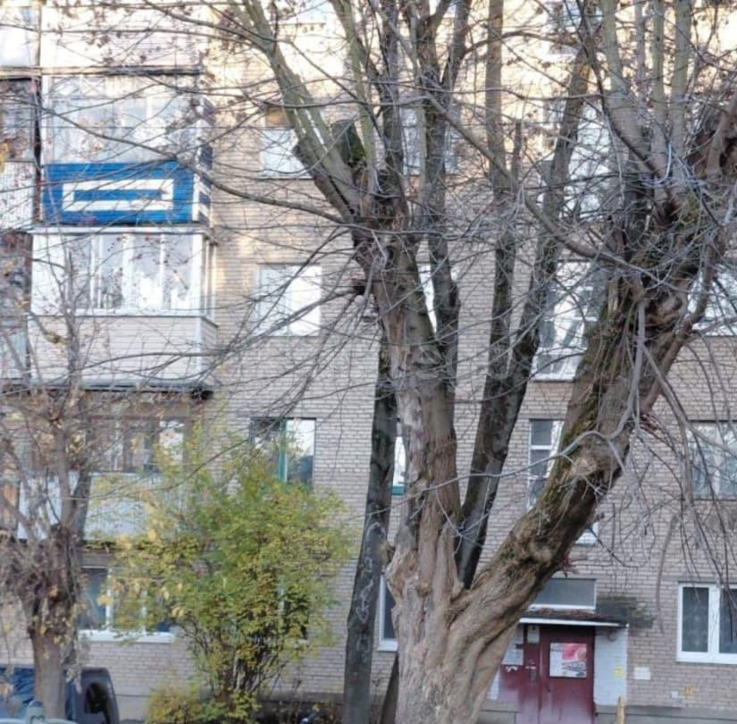 3-комн. квартира, 60 м2, 4/5 эт. Подольск - изображение 7