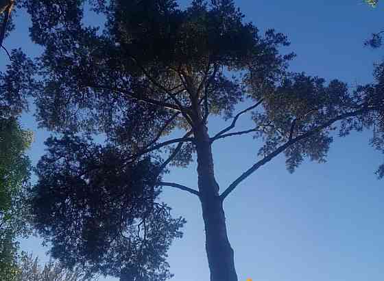 Земельный участок, 23 сотки Санкт-Петербург