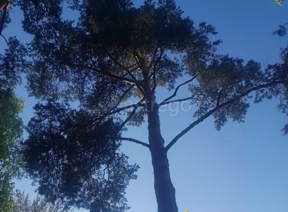 Земельный участок, 23 сотки Санкт-Петербург - изображение 5