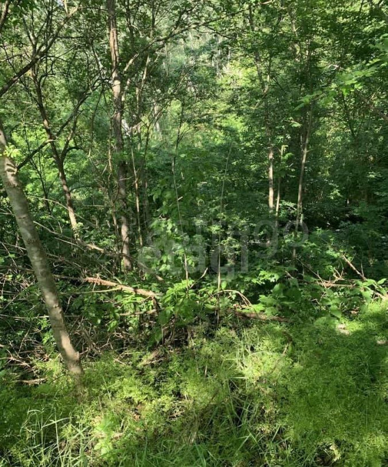 Земельный участок, 0.64 га Тульский - изображение 1