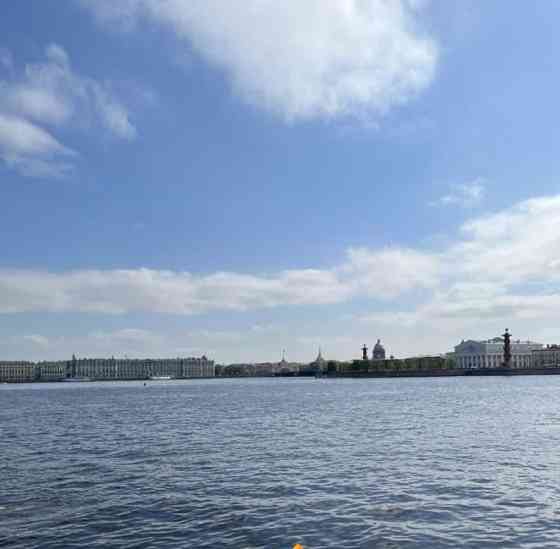 4-комн. квартира, 97.1 м2, 6/7 эт. Санкт-Петербург