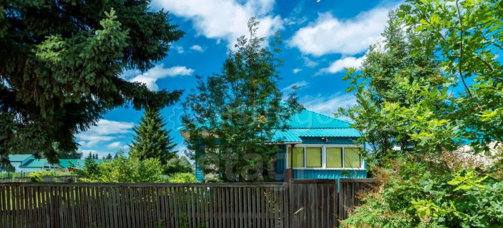 Дом, 44.7 м2, 29.87 сотки, 1 эт. Алтайское - изображение 4