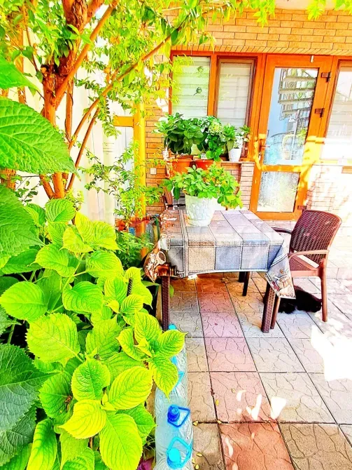 Сдам 1-комн. квартиру, 33 м2, 1/3 эт., посуточно Ялта - изображение 1