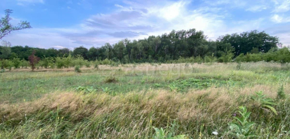 Коммерческий участок, 72.7 га Тульский - изображение 1