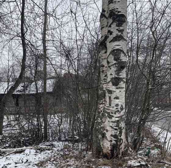 Земельный участок, 16 соток Санкт-Петербург