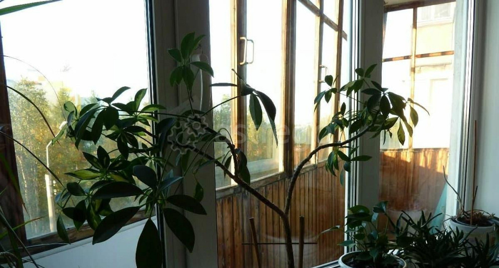 3-комн. квартира, 63 м2, 4/9 эт. Архангельск - изображение 2