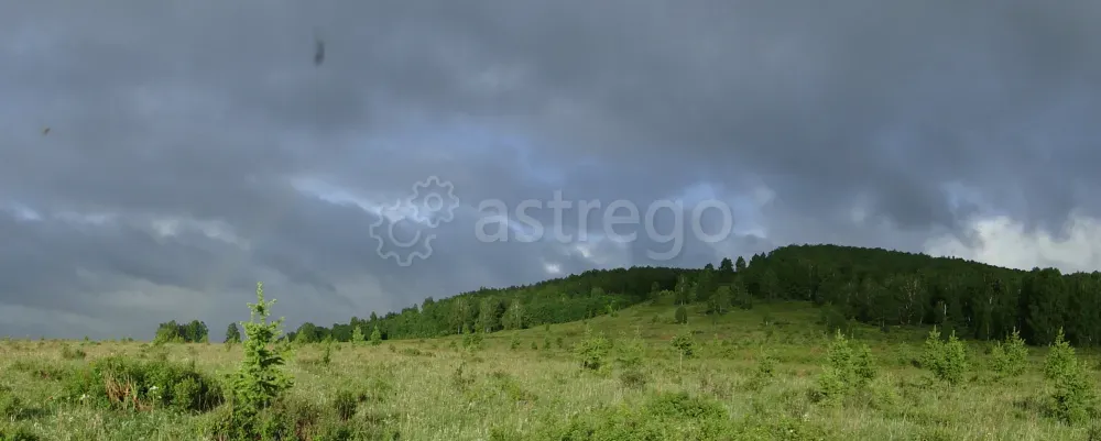 Продам участок, ИЖС, 25 сот. Шарыпово - изображение 6