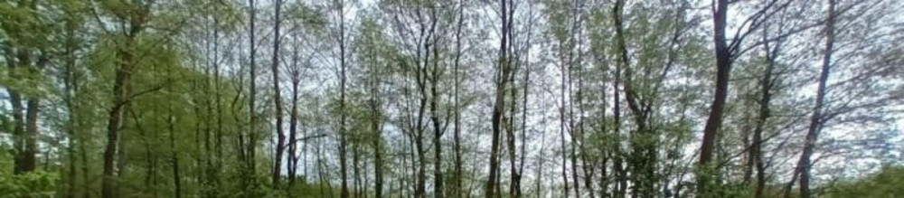 Земельный участок, 12.34 сотки Лосино-Петровский - изображение 2