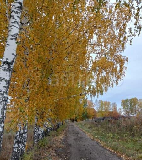 Земля с/х назначения, 12.38 га Кармаскалы - изображение 5