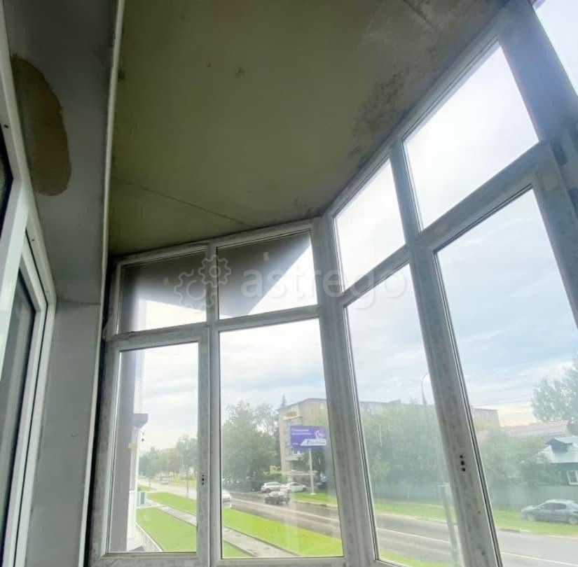 Студия, 30 м2, 1/17 эт. Старая Купавна - изображение 3