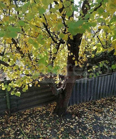 Дача, 30 м2, 4 сотки, 1 эт. Таврово - изображение 4