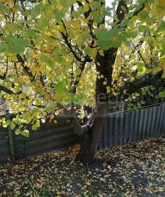 Дача, 30 м2, 4 сотки, 1 эт. Таврово - изображение 4