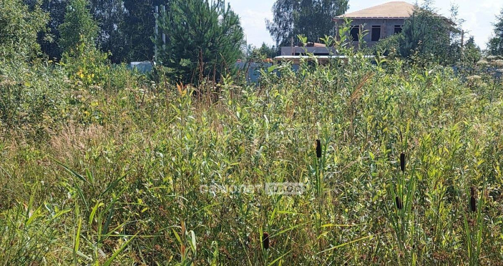 Земельный участок, 10 соток Павловский Посад - изображение 7